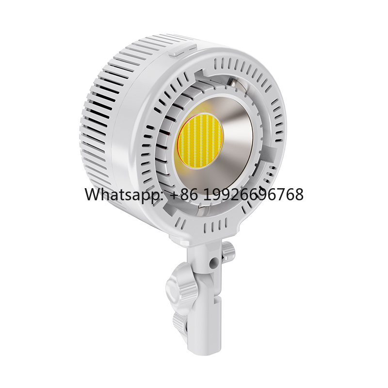 Photography Lighting For Clothing - R200 Dual-Color COB LED Light Beads