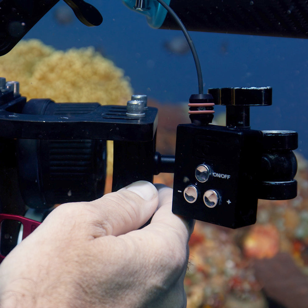 DIVEVOLK SL50 SL120 Underwater - огляд і ціна Photography Lighting With Flash