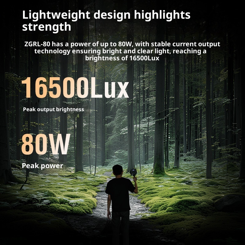ZGRL80 80W COB Handheld Video  - огляд і ціна Beauty Dish 55Cm
