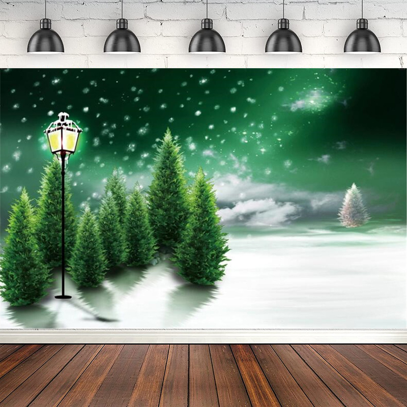 Photography Backdrop Winter Sn - огляд і ціна Photography Lighting White Background